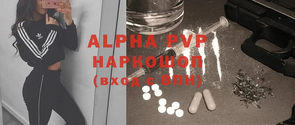 гидра Белокуриха