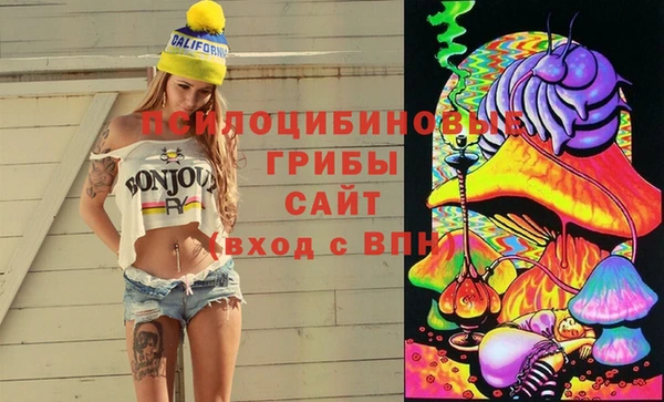 гидра Белокуриха