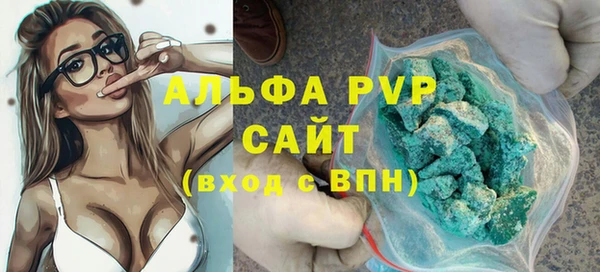 гидра Белокуриха