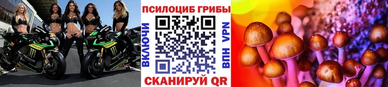 Галлюциногенные грибы мицелий  blacksprut зеркало  Кяхта 